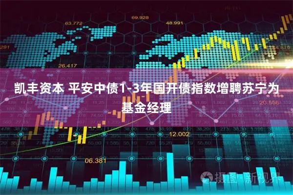 凯丰资本 平安中债1-3年国开债指数增聘苏宁为基金经理