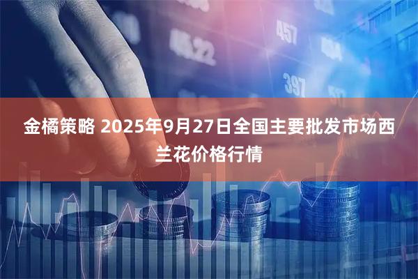 金橘策略 2025年9月27日全国主要批发市场西兰花价格行情