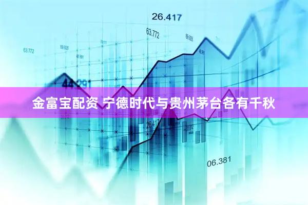 金富宝配资 宁德时代与贵州茅台各有千秋