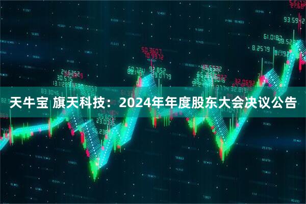 天牛宝 旗天科技：2024年年度股东大会决议公告