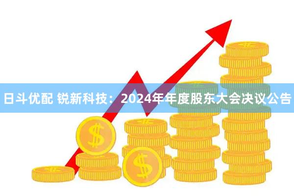 日斗优配 锐新科技：2024年年度股东大会决议公告