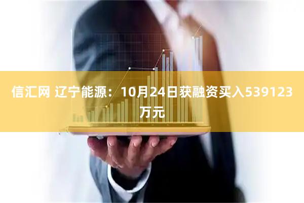 信汇网 辽宁能源：10月24日获融资买入539123万元