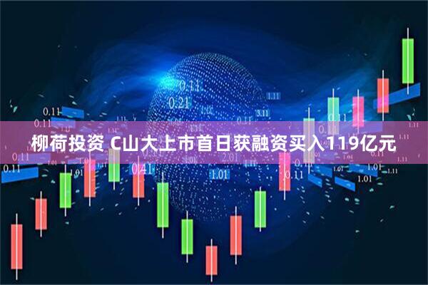柳荷投资 C山大上市首日获融资买入119亿元